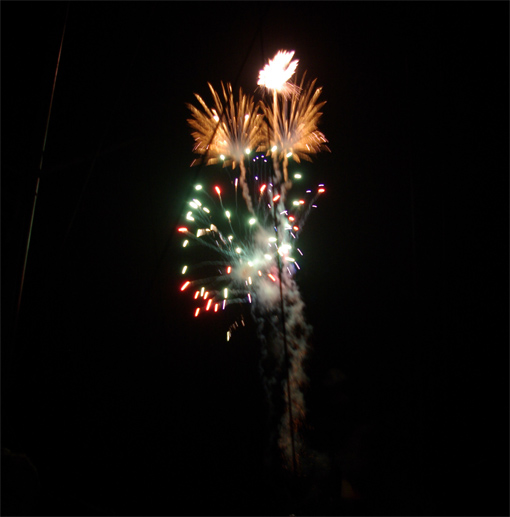 Fiesta1
