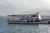 salvador19