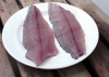 Filets aus der Goldmakrele
