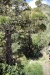 Valle Gran Rey, La Gomera