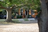 colonia11